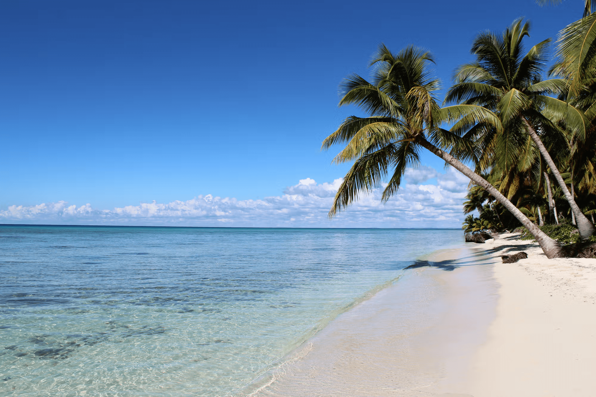 Wyspa Saona.