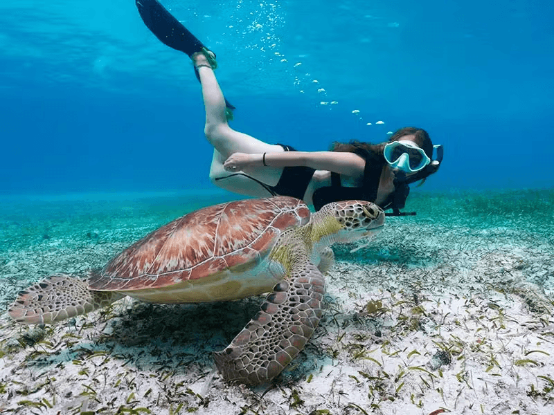 Snorkeling w wodach Bayahibe w pobliżu Dominicus.